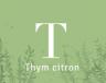 Thym citron