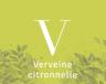 VERVEINE CITRONNELLE